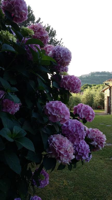 Frateria Di San Benedetto Villa Montepulciano Ngoại thất bức ảnh